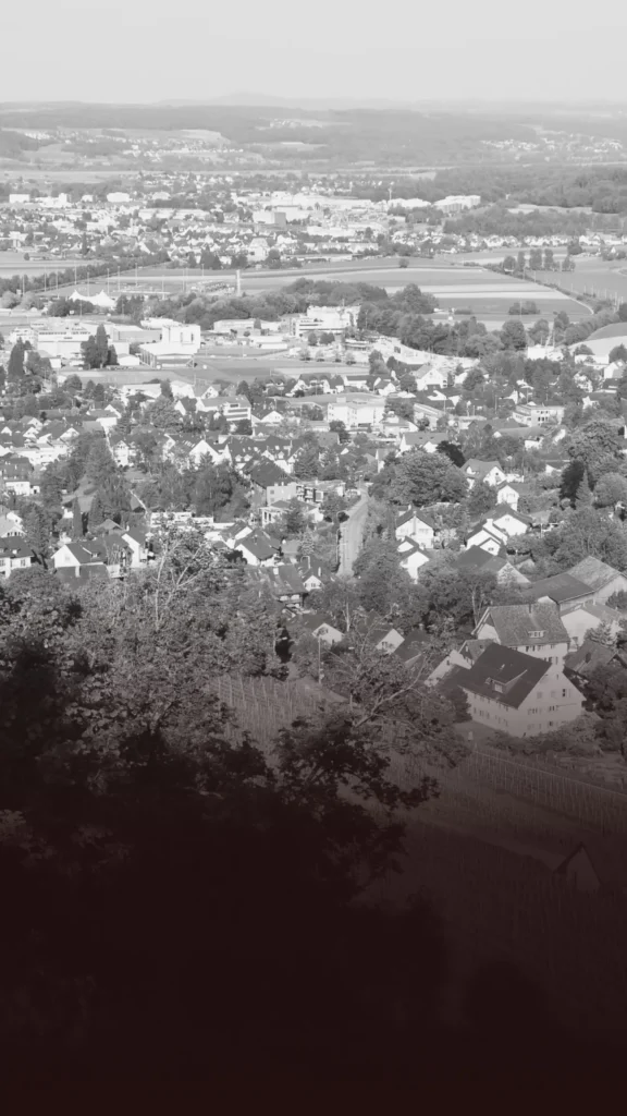Dielsdorf_8157_ZH_im_Bezirk_Dielsdorf_Kanton_Zürich_Zürcher_Unterland_Blog_by_SCALA®_Ihr_Immobilienmakler_rund_um_den_Zürichsee_Kanton_Zürich_Kanton_St.Gallen_Kanton_Schwyz