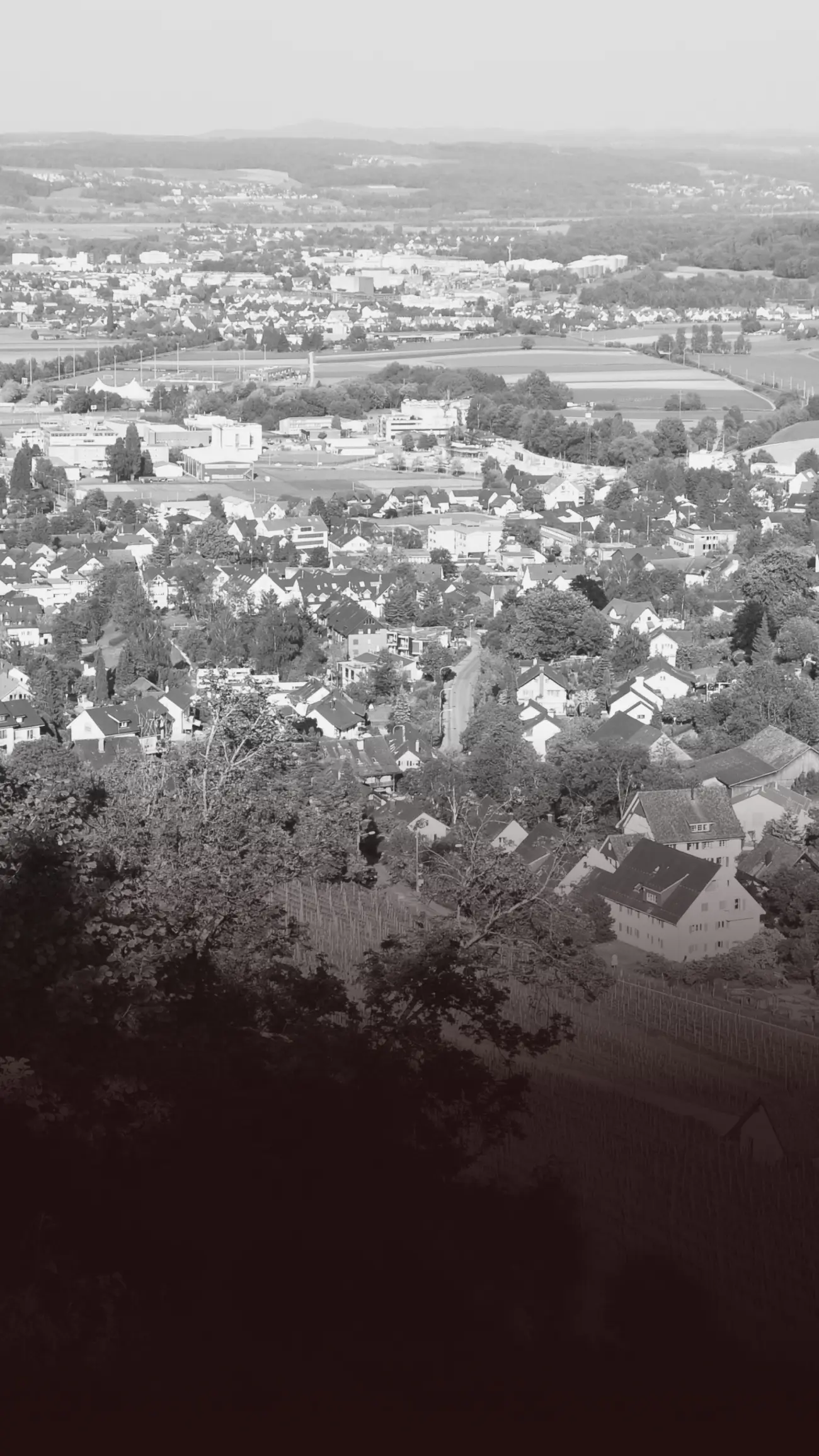 Dielsdorf_8157_ZH_im_Bezirk_Dielsdorf_Kanton_Zürich_Zürcher_Unterland_Blog_by_SCALA®_Ihr_Immobilienmakler_rund_um_den_Zürichsee_Kanton_Zürich_Kanton_St.Gallen_Kanton_Schwyz