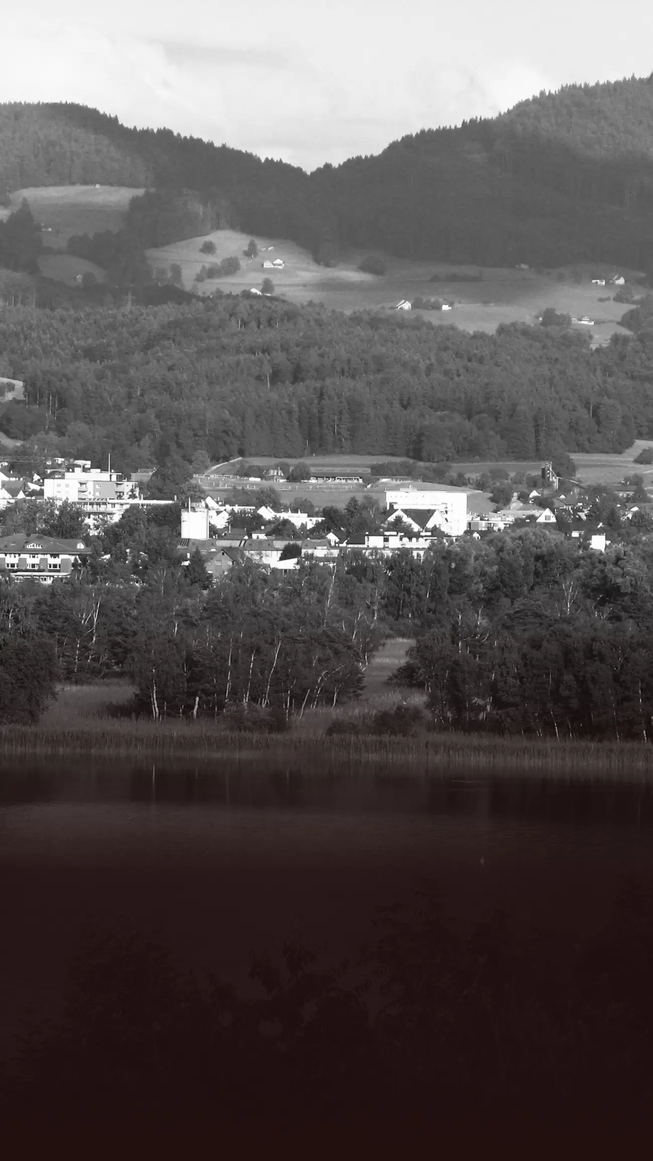 Adetswil_8345_ZH_im_Bezirk_Hinwil_Kanton_Zürich_Zürcher_Oberland_Blog_by_SCALA®_Ihr_Immobilienmakler_rund_um_den_Zürichsee_Kanton_Zürich_Kanton_St.Gallen_Kanton_Schwyz
