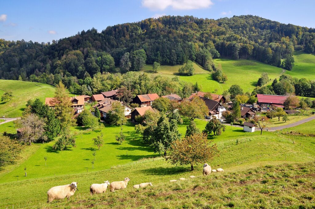 Zürich – Hinwil – Bäretswil