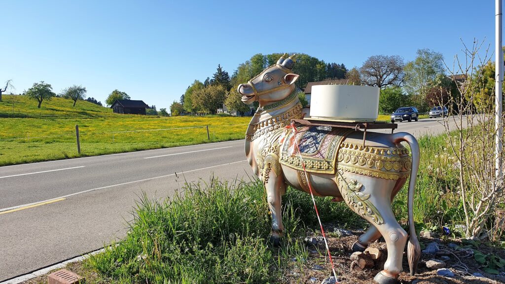 Zürich – Hinwil – Dürnten