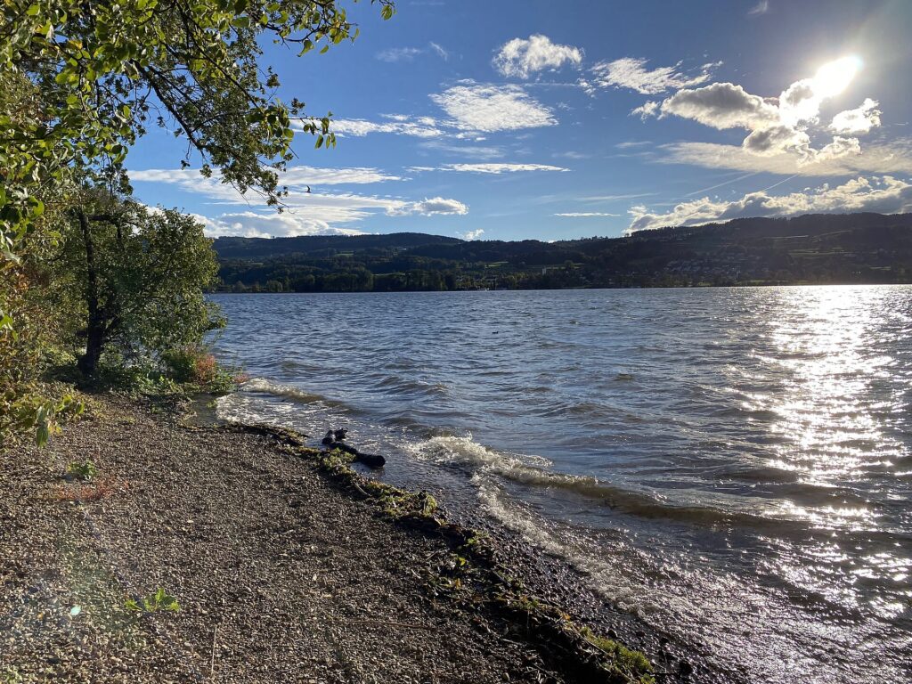 Zürich – Uster – Greifensee