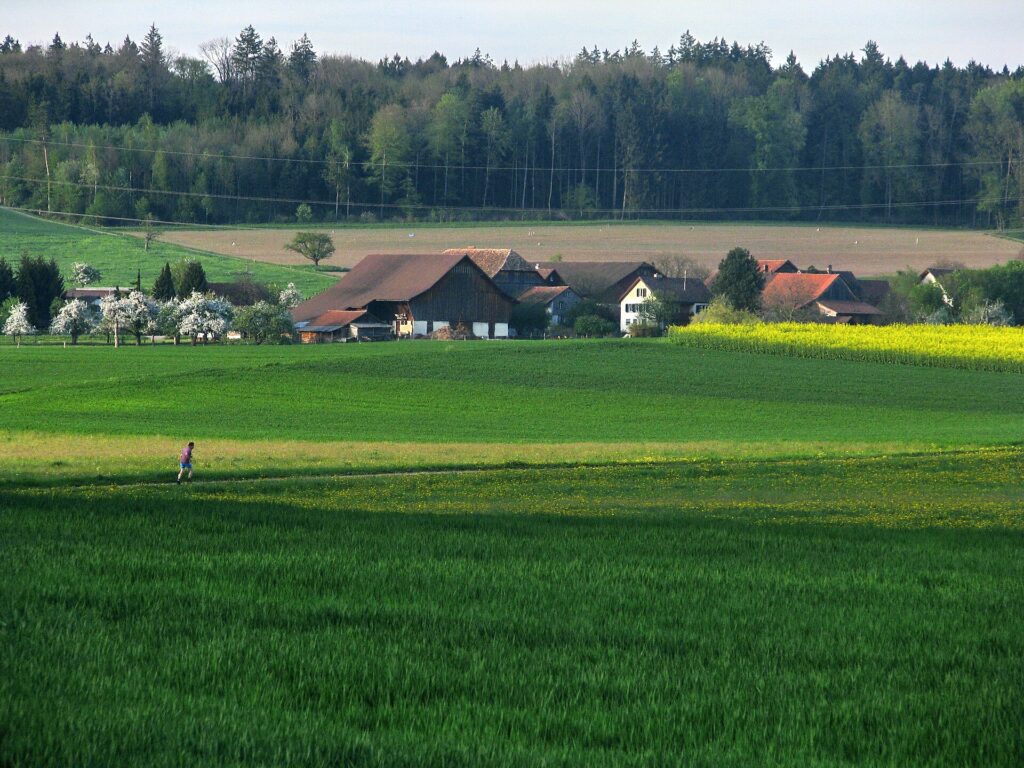 Zürich – Dielsdorf – Rümlang