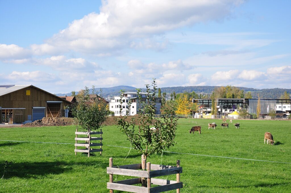 Schwyz – Höfe – Pfäffikon