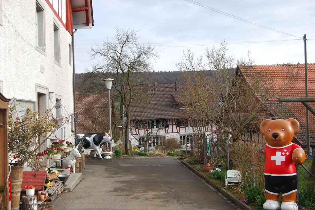 Zürich – Dielsdorf – Schleinikon