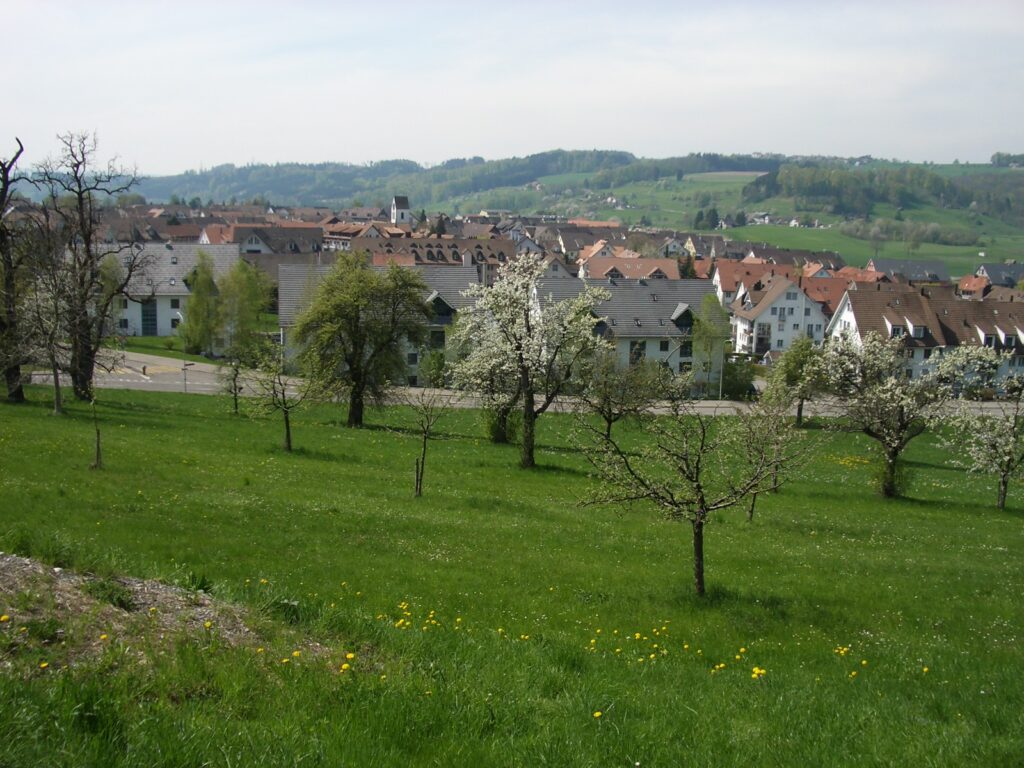 Zürich – Affoltern – Bonstetten